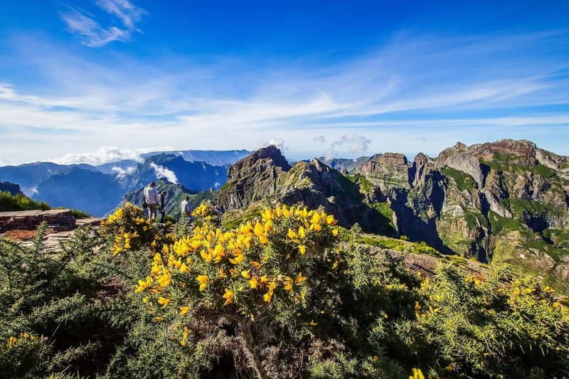Funchal: 4x4 Jeep Trip to the East and Northeast of Madeira - Why the East and Northeast of Madeira feel wilder in a 4x4