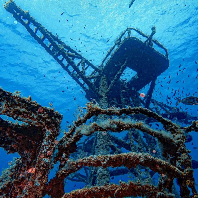 Funchal: Advanced Scuba Diving Afonso Cerqueira Wreck - Key things to know before you go