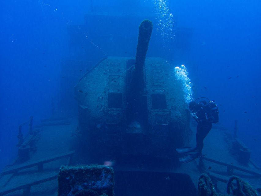 Funchal: Advanced Scuba Diving Afonso Cerqueira Wreck - Marine life in a protected artificial reef
