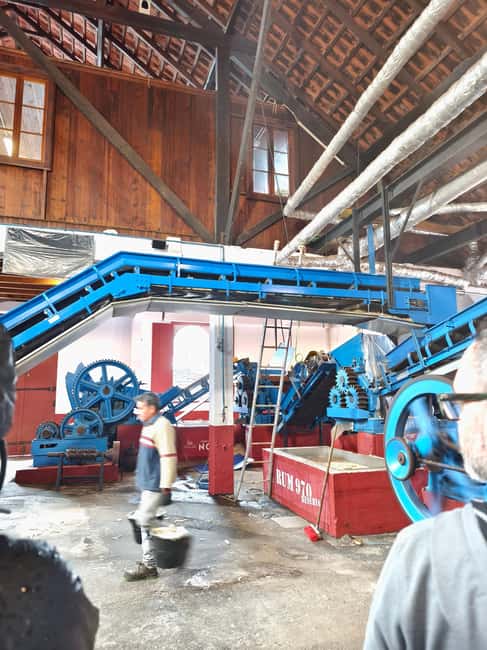Funchal Agriculture Green Tour - A 6-hour Madeira farm loop with small-group access