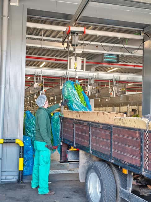 Funchal Agriculture Green Tour - Porto da Cruz rum factory, sugarcane season, and steam machines