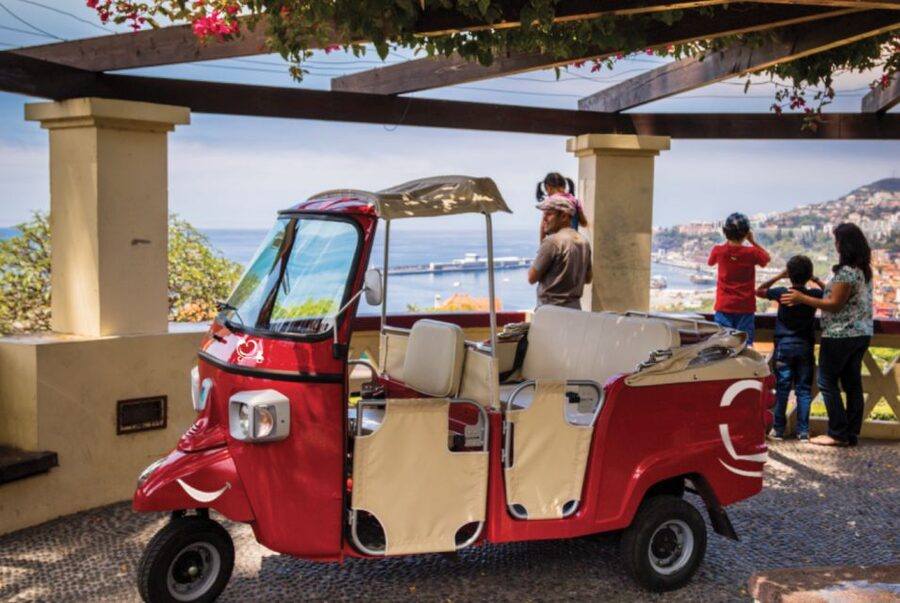 Funchal at Night Private Tour by Tuk Tuk - How a 1-hour private tuk tuk tour makes Funchal click