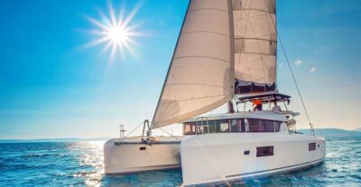 Dolphin & Whale Watch Luxury Catamaran Cruise