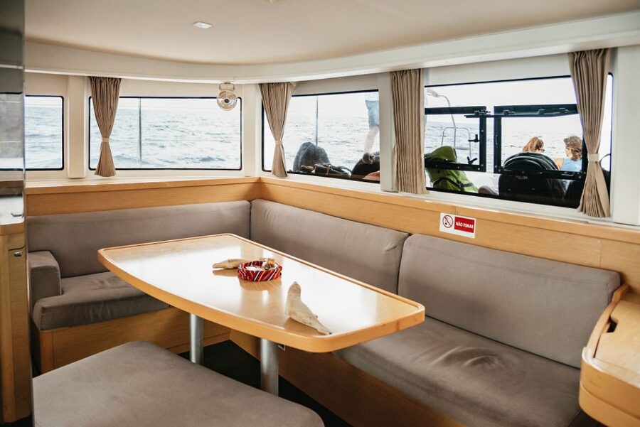 Funchal Bay: Dolphin & Whale Watch Luxury Catamaran Cruise - Should you book the Dolphin and Whale Watch cruise from Funchal?