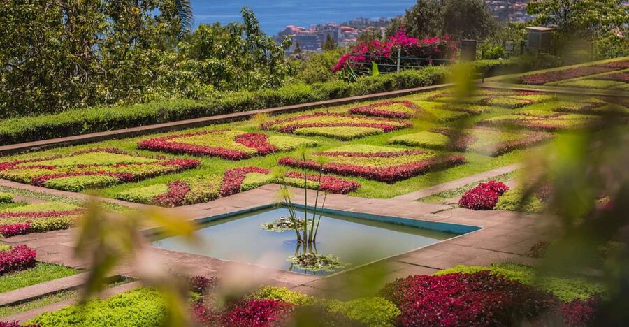 Funchal: Botanical Garden and Old Town Private Tuk-Tuk Tour - Key things that make this tour worth your time