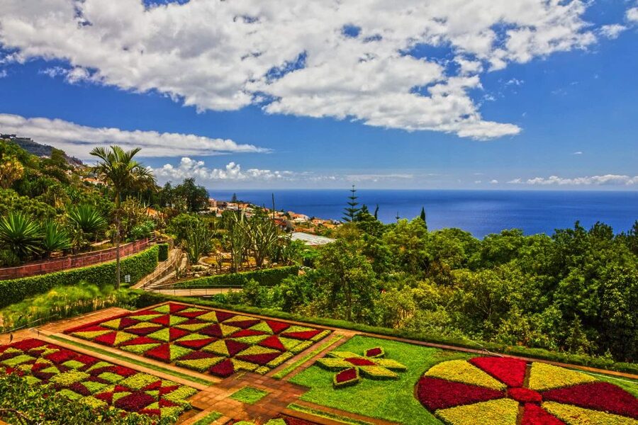 Funchal: Botanical Garden and Old Town Private Tuk-Tuk Tour - Bom Sucesso Botanical Garden: plants, history, and Museum of Natural History time