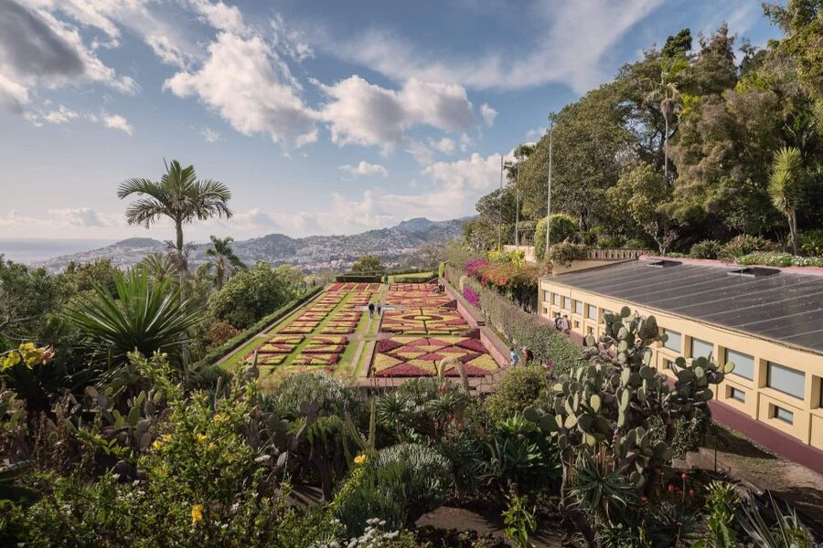 Funchal: Botanical Garden and Old Town Private Tuk-Tuk Tour - Price and value: $94 per group up to 2, plus one extra ticket