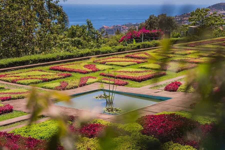 Funchal: Botanical Garden and Old Town Private Tuk-Tuk Tour - Getting your bearings in Funchal’s Old Town, Zona Velha