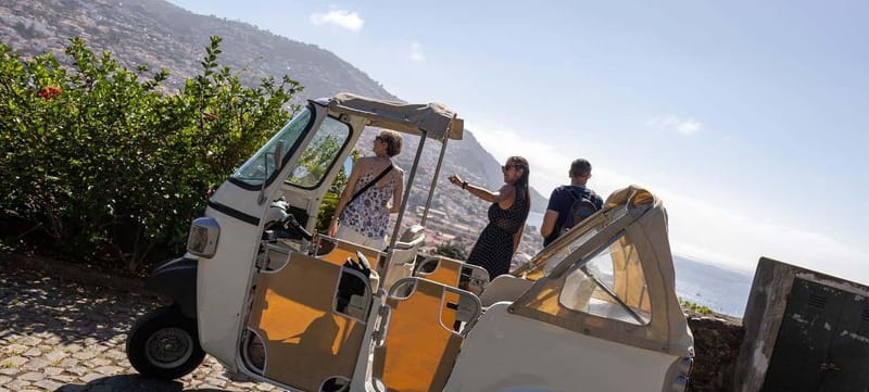 Funchal: Botanical Garden & Old Town Tour by TukTuk (1h45) - Price and value: $44 for a private TukTuk with a real garden stop
