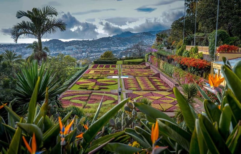 Funchal: Botanical Garden & Old Town Tour by TukTuk (1h45) - Old Town Funchal scenic drive: quick context, minimal effort