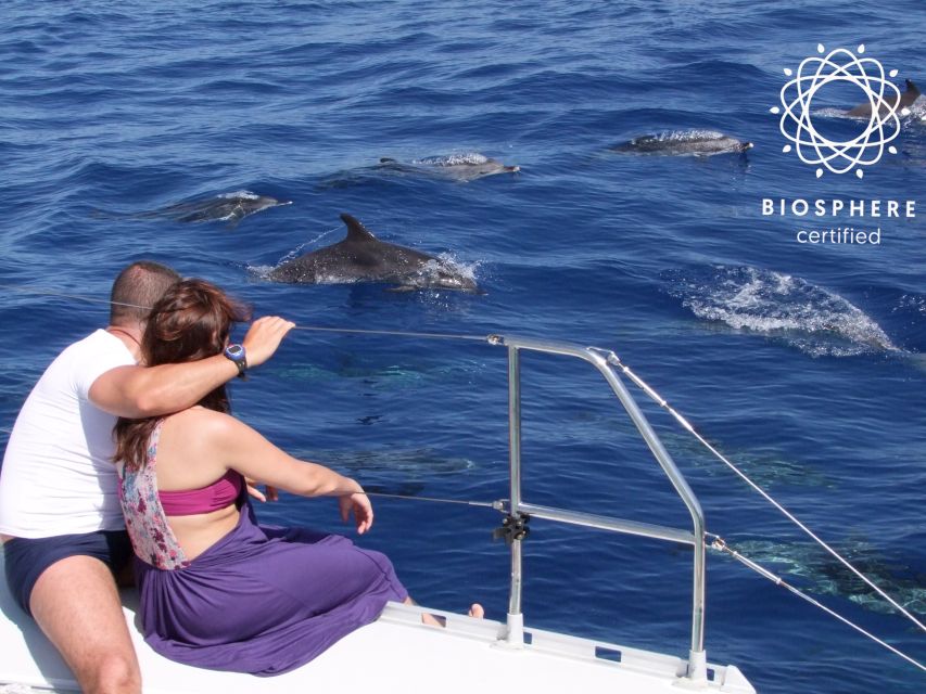 Funchal: Cabo Girão, Wines Tasting and Dolphins Watching - Key Highlights You’ll Care About