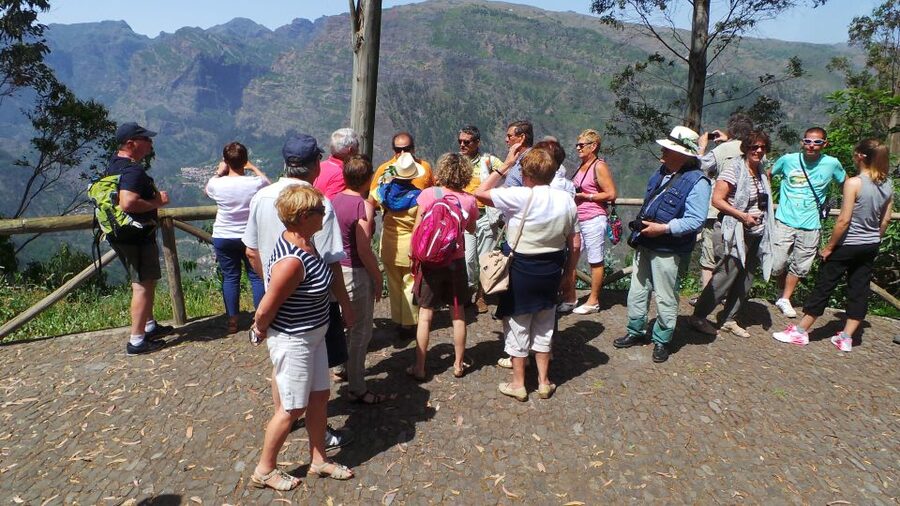 Funchal: Cabo Girão, Wines Tasting and Dolphins Watching - Who This Tour Suits Best (And Who Should Skip It)