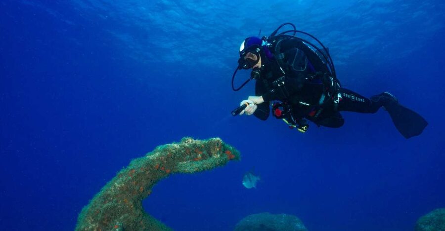 Funchal: Certified Scuba Diving, Guided Tour - Your 1-Hour Underwater Tour: Eco Park Funchal and Real Sea Life