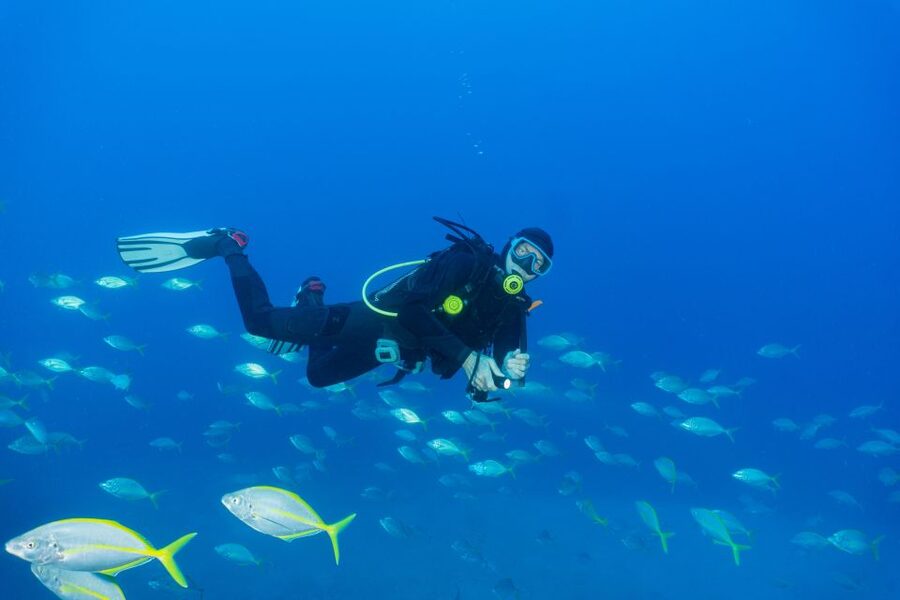 Funchal: Certified Scuba Diving, Guided Tour - Gear and Comfort: Rentals, Cameras, and the Hot Shower Detail