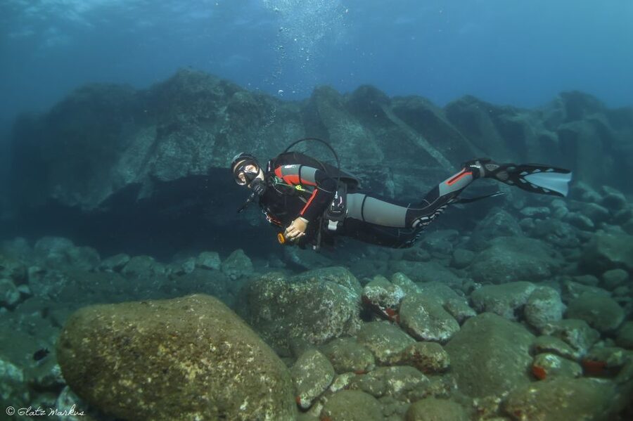Funchal: Certified Scuba Diving, Guided Tour - Carlton Hotel Meet-Up at Sea Level (What to Expect Before You Gear Up)