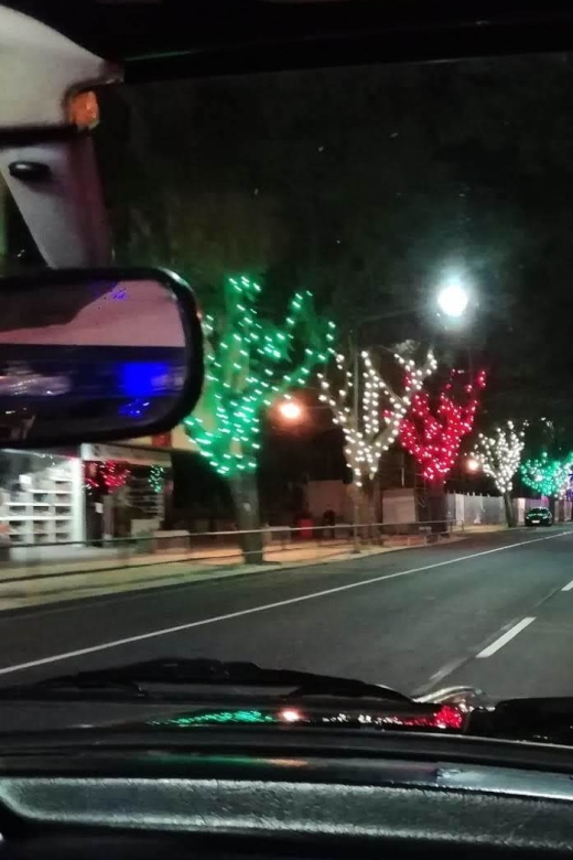 Funchal: Christmas Lights Sightseeing Night Tour - Who Should Book This Christmas Lights Night Tour