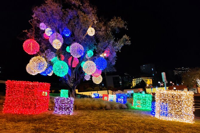 Funchal Christmas lights sightseeing night tour - Guide moments that make the drive feel personal