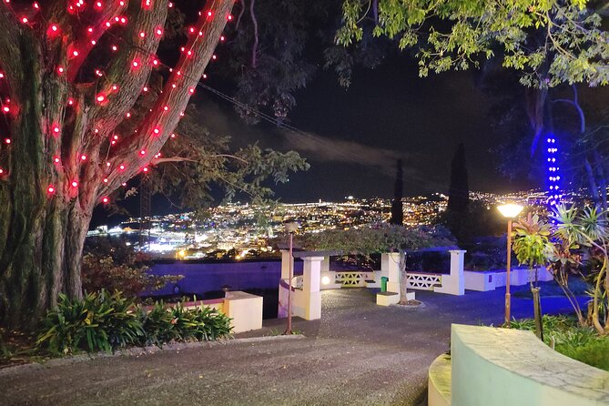 Funchal Christmas lights sightseeing night tour - Price and value: is $42.24 worth it?