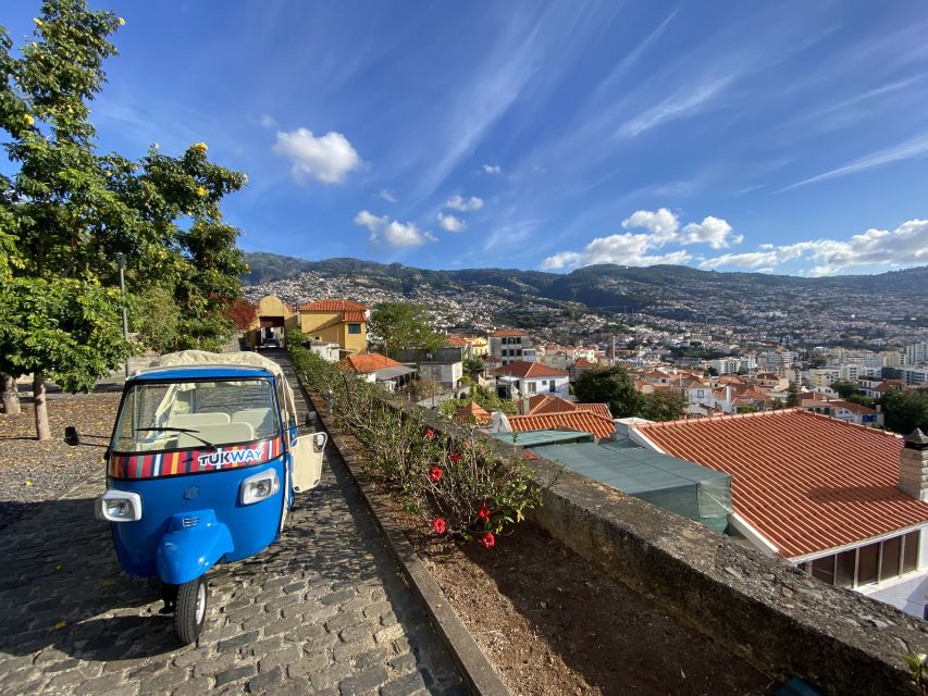 Funchal: City Highlights Tuk-Tuk Tour - Pico dos Barcelos Lookout: the first great view
