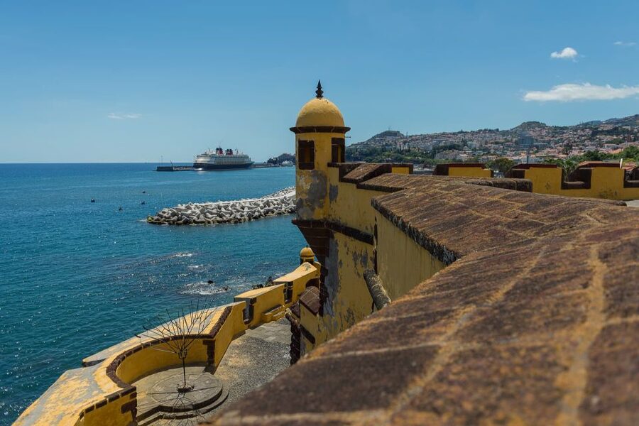 Funchal: City Highlights Tuk-Tuk Tour - Funchal City Hall and the cathedral break you will actually remember
