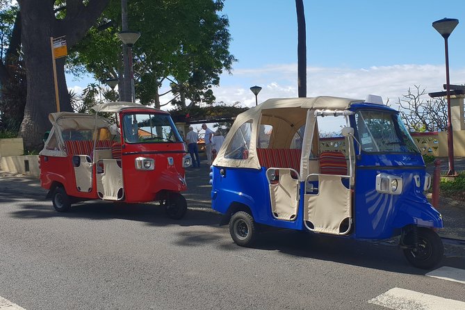 Funchal City Tour + Old Town - The Iconic Museum and the Cathedral Stop: Quick Orientation, Not a Marathon