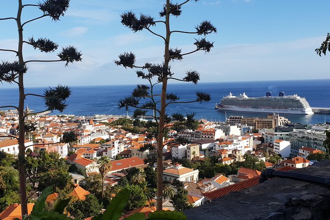 Funchal City Tour + Old Town - Complexo Balnear da Barreirinha: A 5-Minute View That Feels Longer