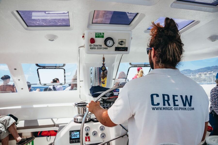 Funchal: Dolphin and Whale Watching by Luxury Catamaran - Who should book, and who might want a different option
