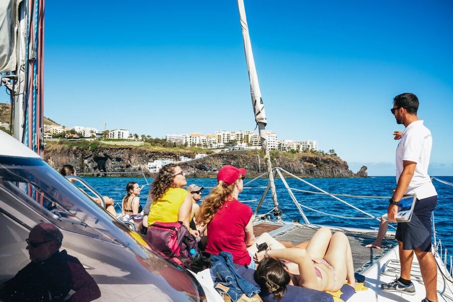 Funchal: Dolphin and Whale Watching by Luxury Catamaran - Swimming and snorkeling: the summer stop that makes the trip feel complete