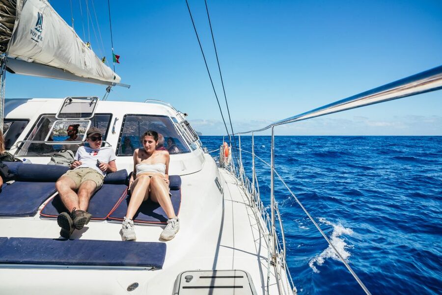 Funchal: Dolphin and Whale Watching by Luxury Catamaran - Value and what you actually get for about $47 per person