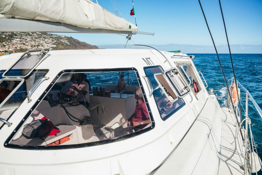 Funchal: Dolphin and Whale Watching by Luxury Catamaran - Sailing out of Funchal Bay: where the first sightings often happen