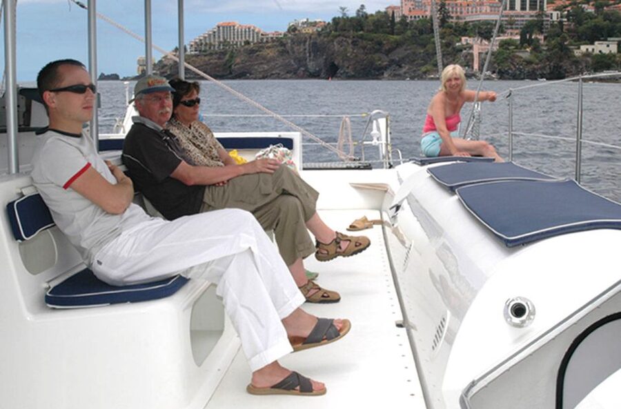 Funchal: Dolphin and Whale Watching Catamaran Cruise - The Catamaran Ride: Comfort, Crew Energy, and Real Safety