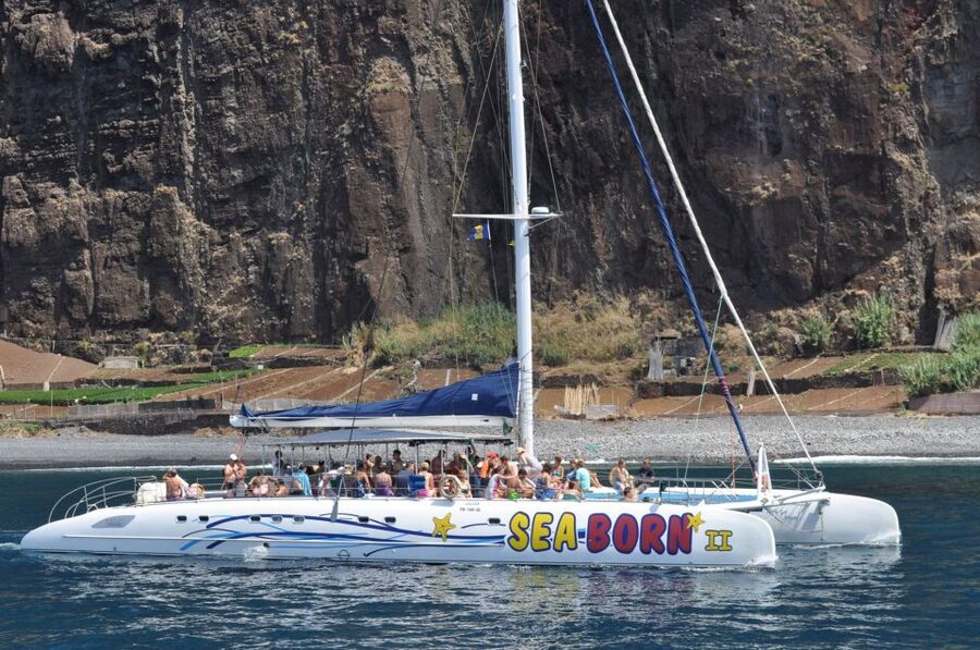 Funchal: Dolphin and Whale Watching Catamaran Cruise - Swimming and Snorkeling: The Part You’ll Actually Remember