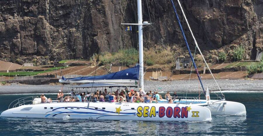 Funchal: Dolphin and Whale Watching Catamaran Cruise - What You Can Buy On Board (And What You Should Bring)