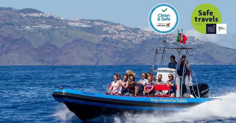 Funchal: Dolphin and Whale Watching Cruise - How the 2-hour cruise plays out on the water