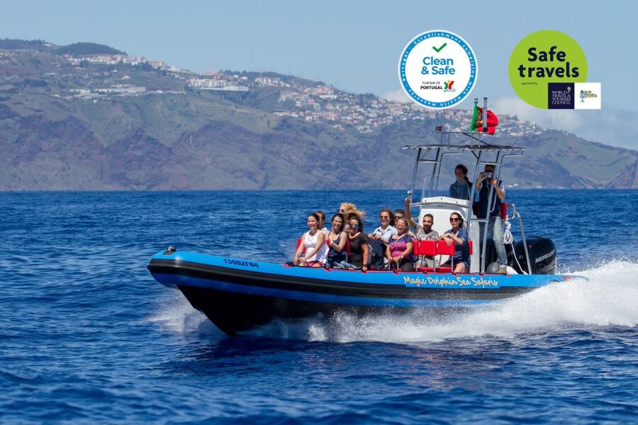Funchal: Dolphin and Whale Watching Cruise - Marine biologist commentary: what you’ll actually learn on the water