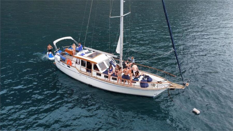 Funchal: Dolphin and Whale Watching Sailing Trip - Key things to know before you go
