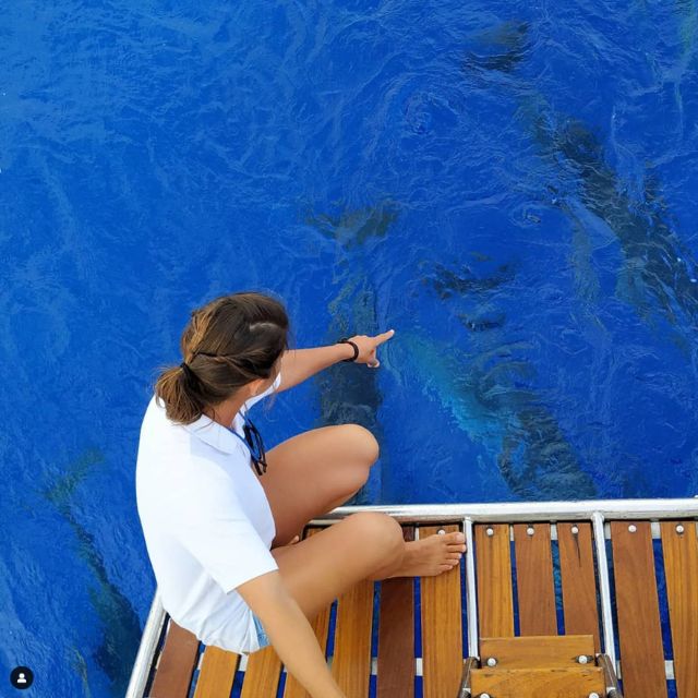 Funchal: Dolphin and Whale Watching Sailing Trip - 3 Hours Off Funchal: What This Sail Trip Is Like