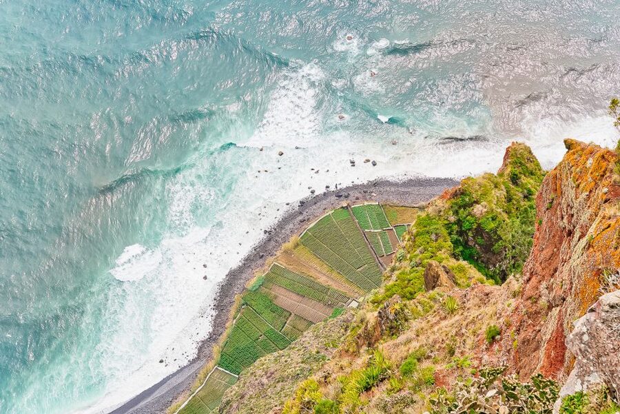 Funchal: Dolphin and Whale Watching Sailing Trip - The Swim Stop at Cabo Girão: Snorkeling in Clear Water With Real Views