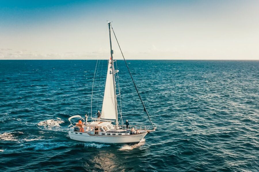 Funchal: Dolphin and Whale Watching Sailing Trip - On Board Comfort: Small Yacht Energy, Crew Style, and Safety Basics