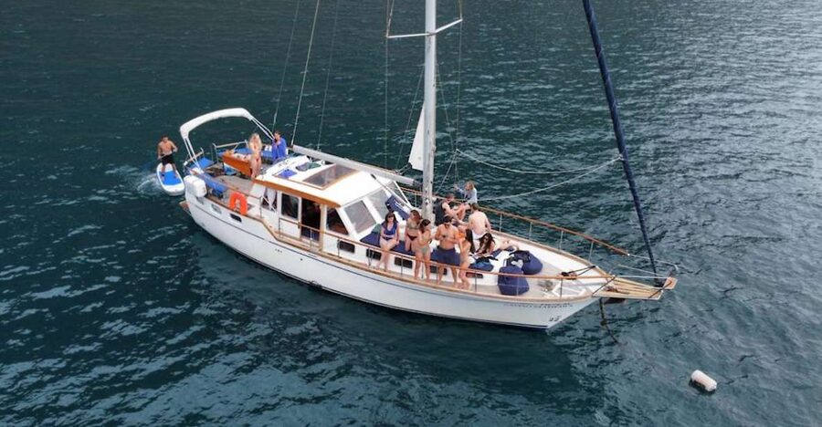 Funchal: Dolphin and Whale Watching Sailing Trip - Near Cabo Girão: How Dolphin and Whale Watching Actually Works Here