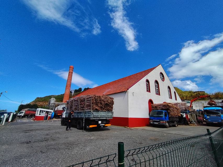 Funchal: East Madeira Island Guided Tour & Laurissilva Walk - Faial Guindaste viewpoint: a short stop with panoramic payoff