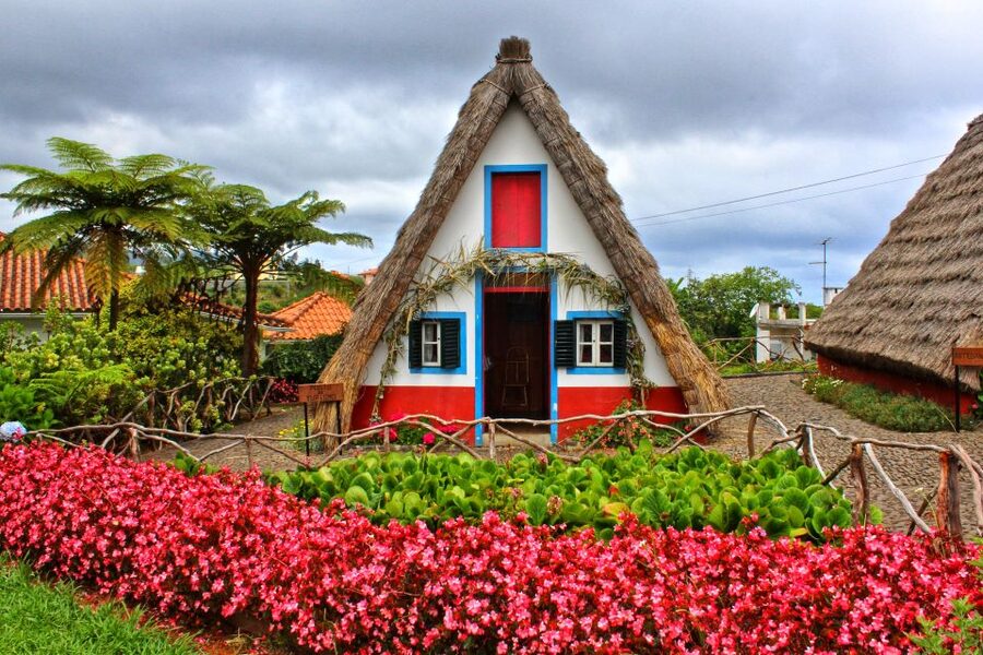 Funchal: East Madeira Island Guided Tour & Laurissilva Walk - Porto da Cruz and North Mills Distillery rum tasting