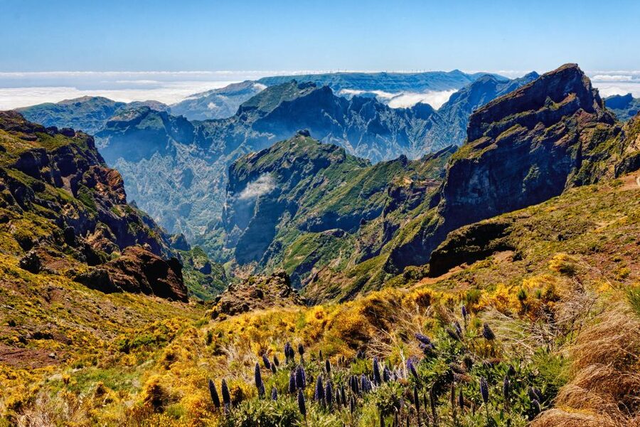 Funchal: East Madeira Island Guided Tour & Laurissilva Walk - First stop: Pico do Areeiro’s high-altitude views