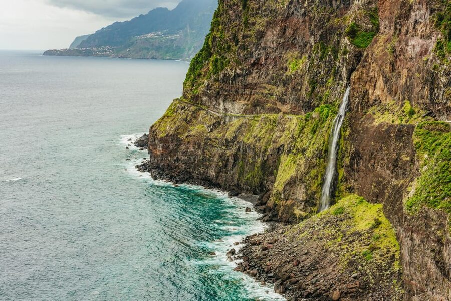Funchal: Enchanted Terraces, Porto do Moniz & Fanal 4WD Tour - From Ribeira da Janela to Paul da Serra: Views Above the Clouds