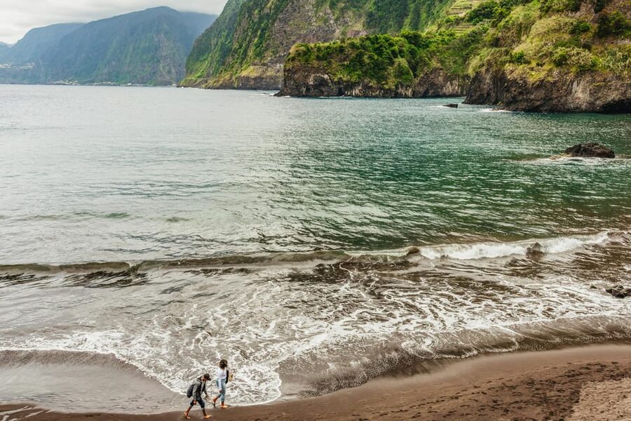 Funchal: Enchanted Terraces, Porto do Moniz & Fanal 4WD Tour - Fanal Forest and the Laurissilva Walk: Why This Part Is the Reason to Go
