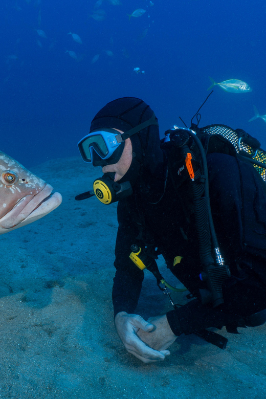 Funchal: Garajau national park - certified divers - Guide support that turns nerves into a win