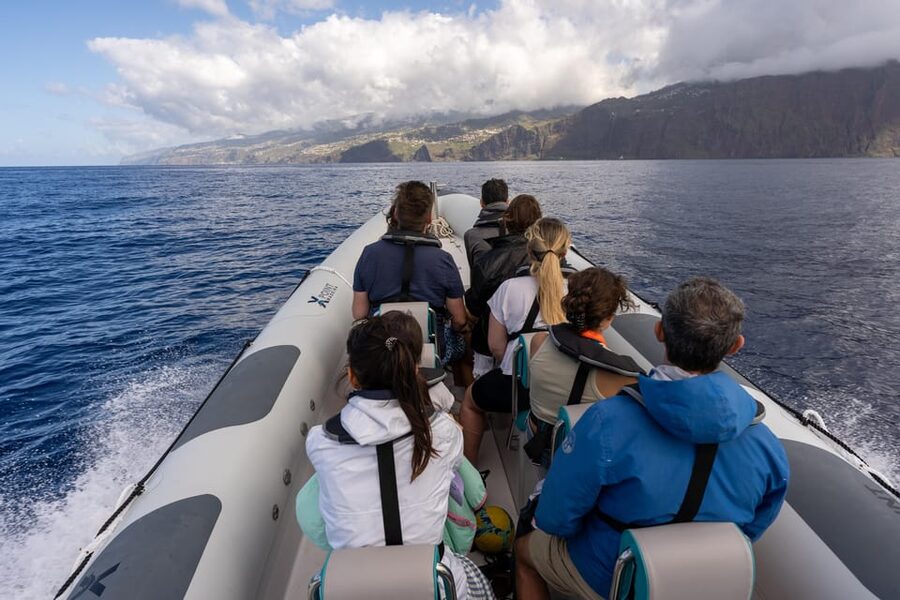 Funchal: Guarantee Wild Dolphin&Whale Watching by RIB - Private group option: when privacy beats the sea spray