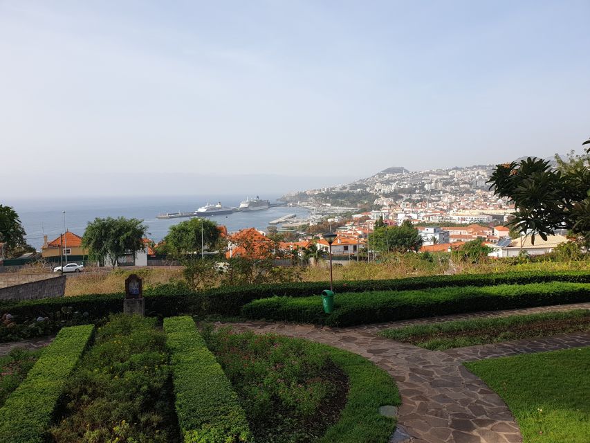 Funchal: Guided City Tuk-Tuk Tour - Price and Value: Why This One-Hour Tour Makes Sense