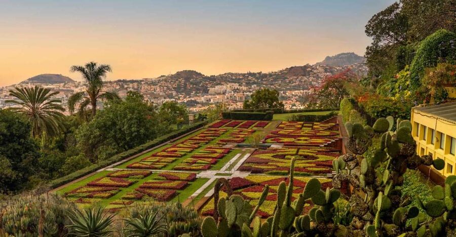 Funchal: Guided Old Town Tuk Tuk Tour and Botanical Gardens - Tuk Tuks in the Hills: Getting Oriented Fast