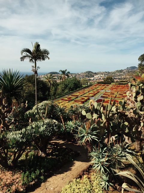 Funchal: Guided Old Town Tuk Tuk Tour and Botanical Gardens - Mercado dos Lavradores, Cathedral Facade Views, and Rua Ferrão Ornelas
